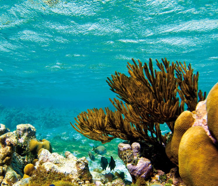 15 destinations incontournables en catamaran