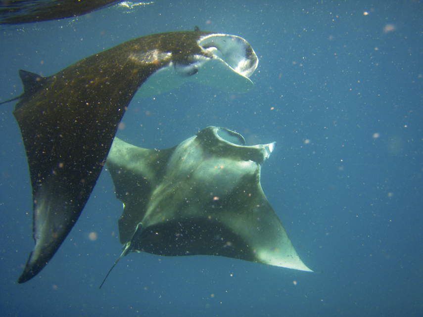 15 destinations incontournables en catamaran