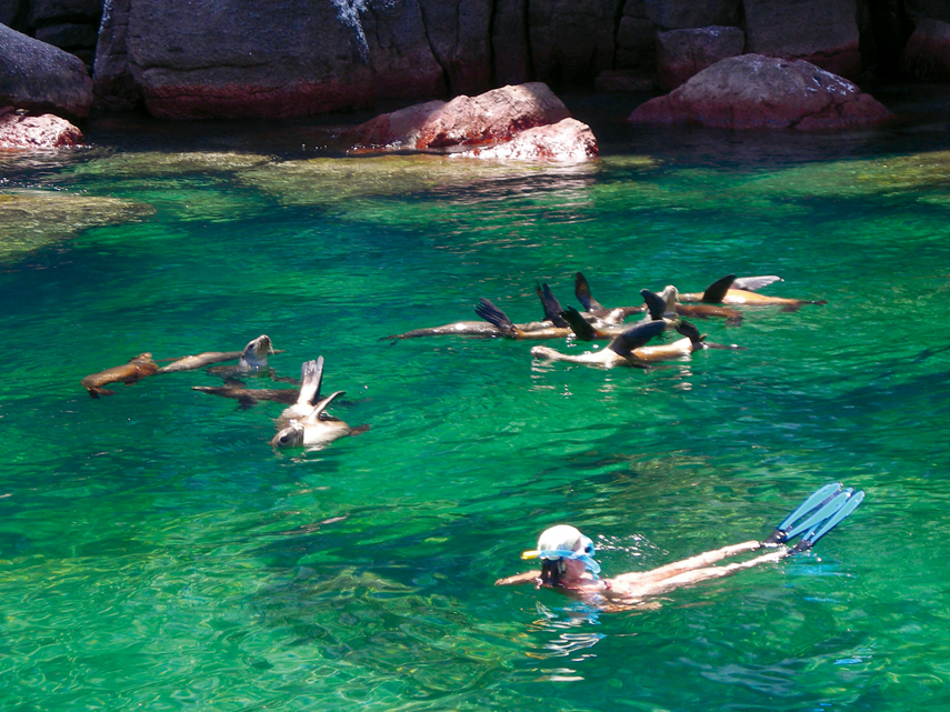 15 destinations incontournables en catamaran