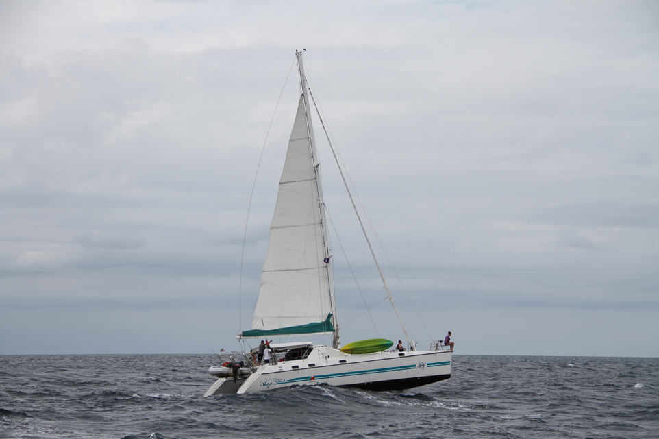 Catamarans Basics Sails