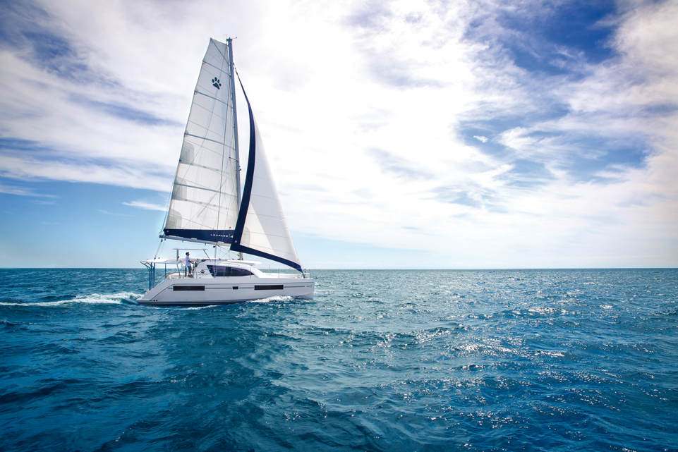 Charter : To each his Cat