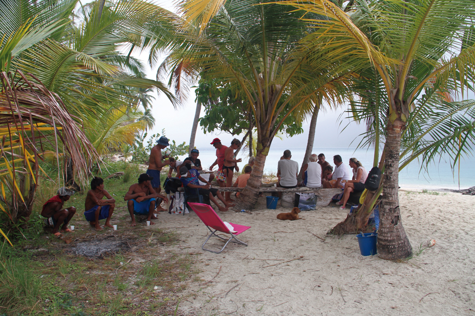 Discover in catamaran