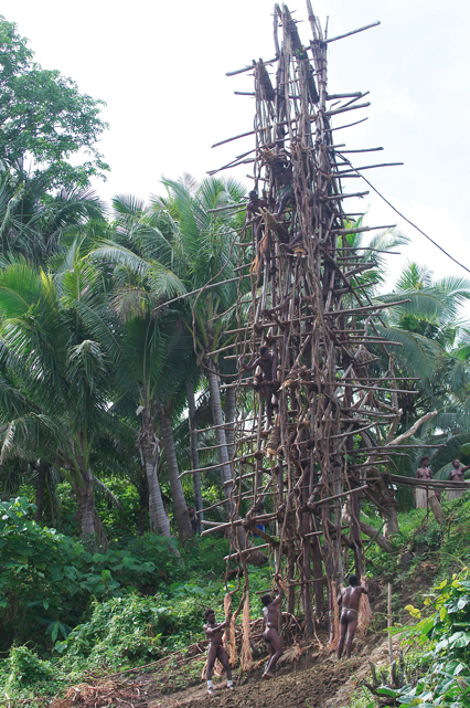 Discover local culture in catamaran