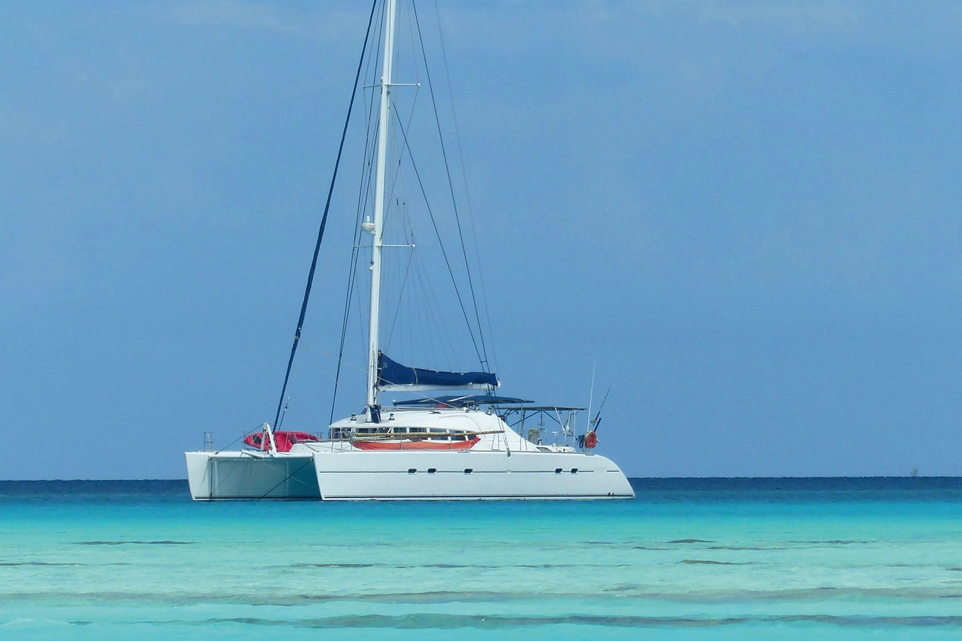 Saltimbanques des flots