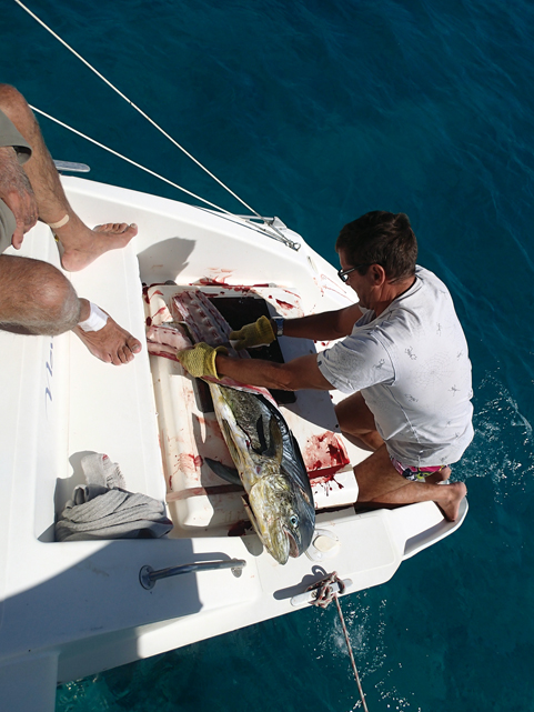 Vanuatu cruise : great fishing