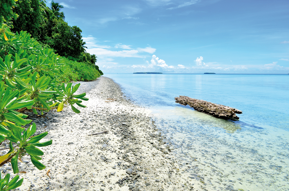 Un ado autour du monde