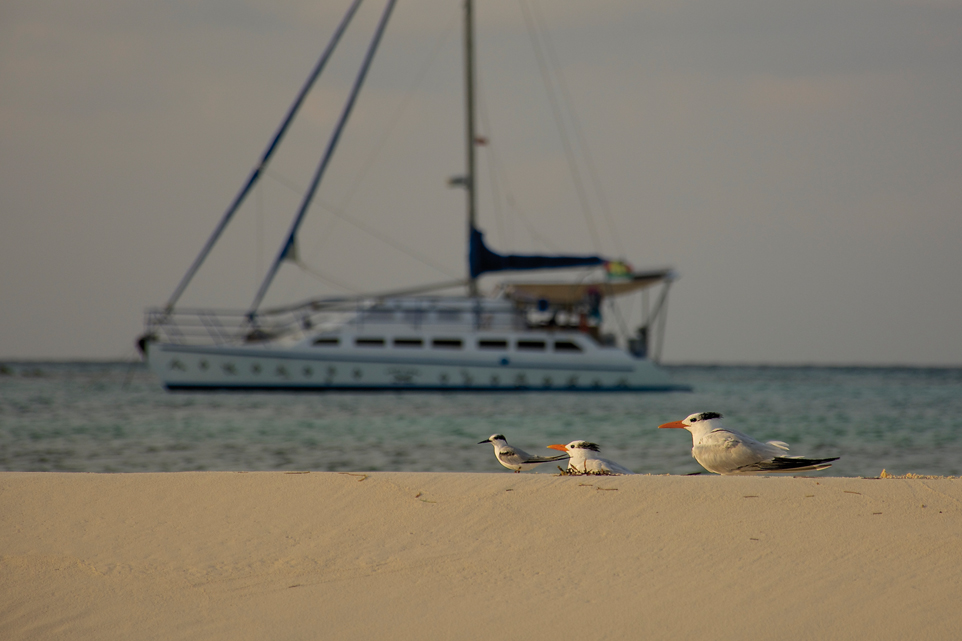 Un ado autour du monde