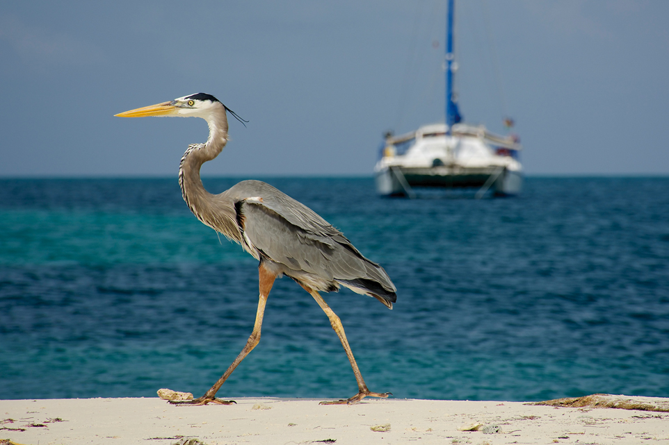 Un ado autour du monde
