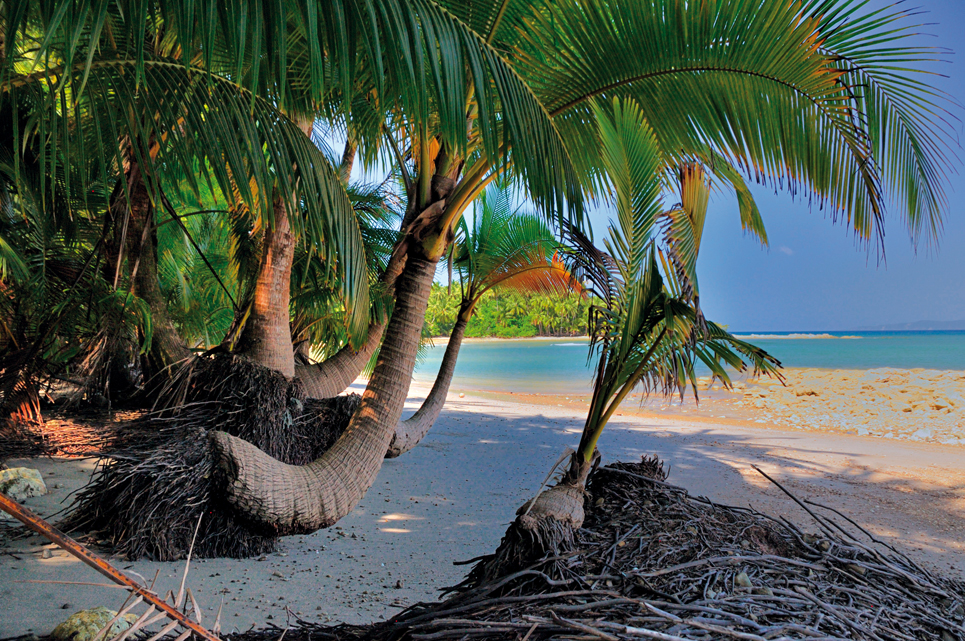 Around the world Gladu