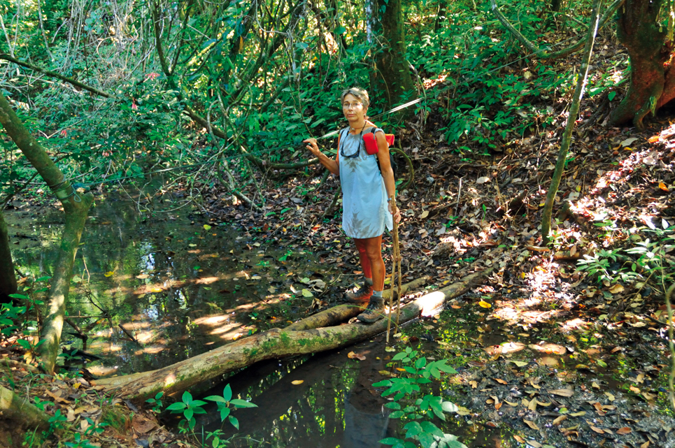 Around the world Gladu