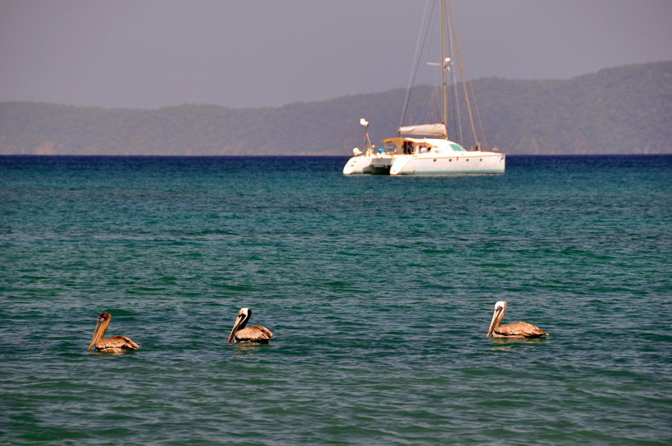 Around the world Gladu