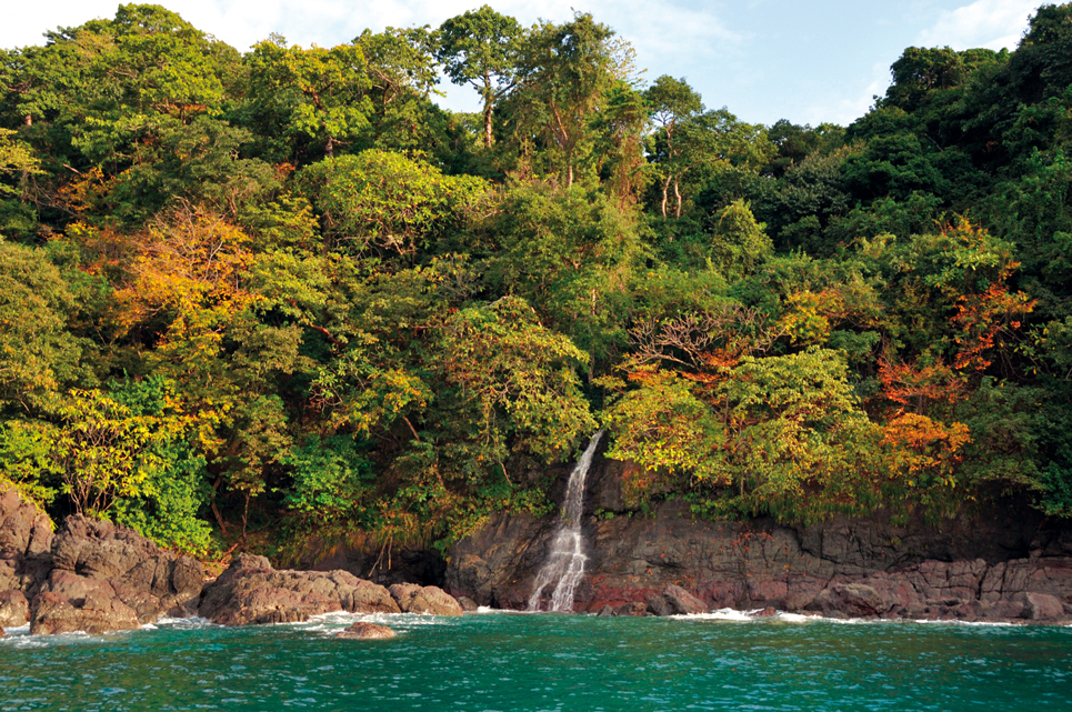 Around the world Gladu