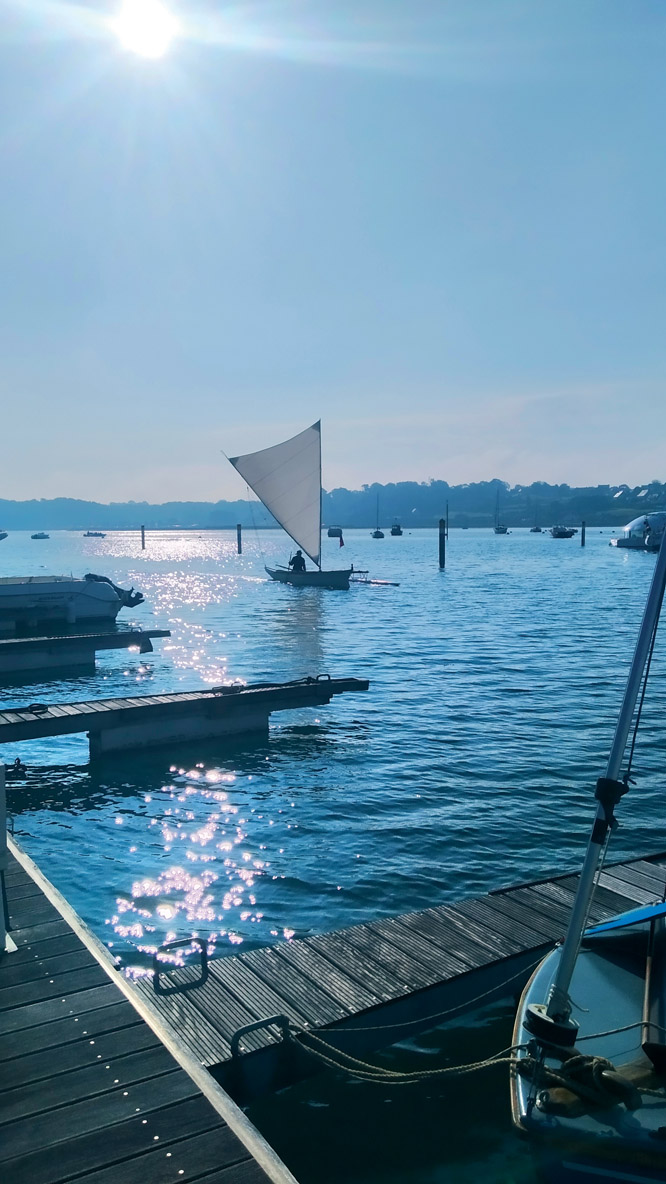 Bamatasi : une libellule dans le port  de Perros-Guirec.