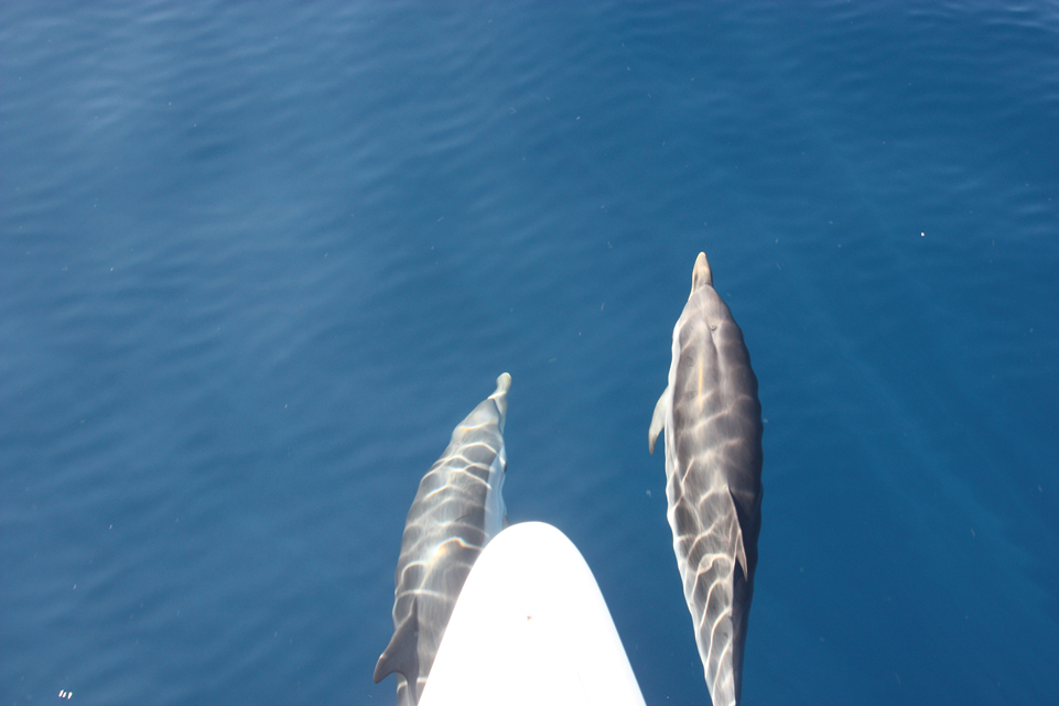 Happy couple sailing