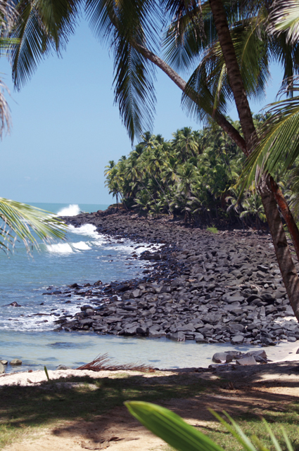 Pirates.com en Guyane