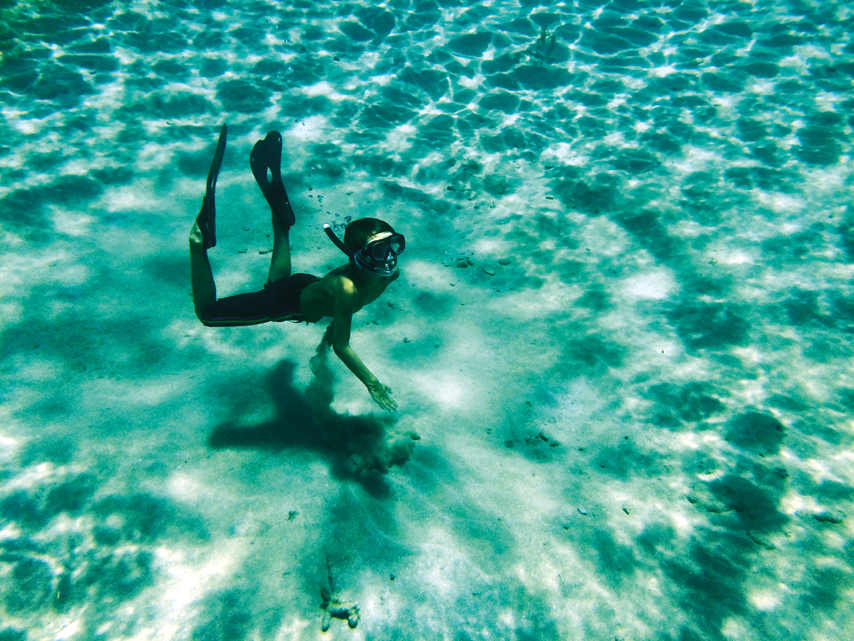 Cataja : A year after