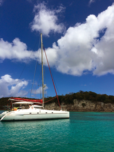 Cataja : Un an après