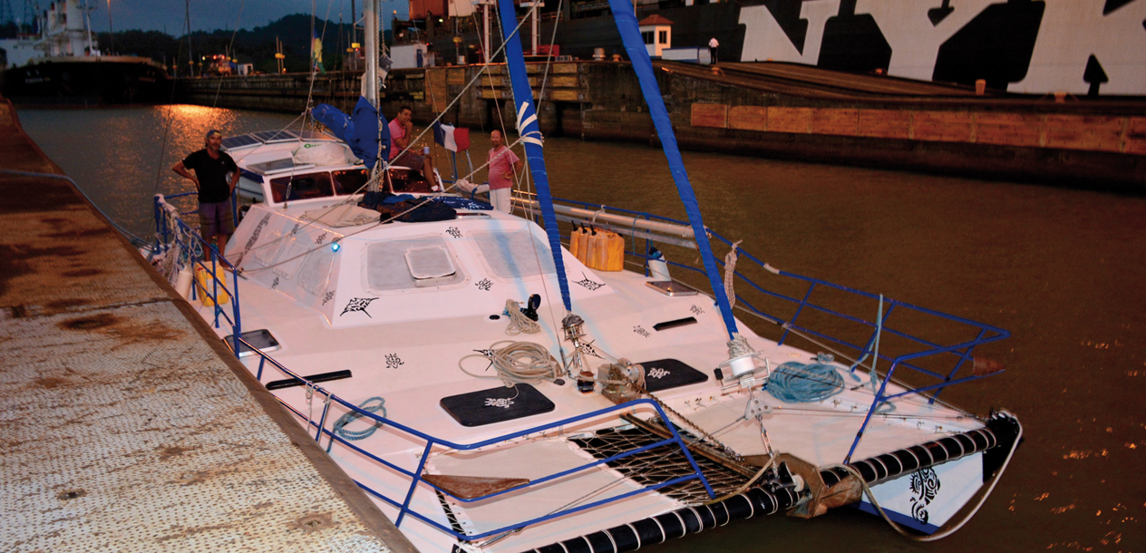 Our cat will soon be back in its beautiful Pacific.