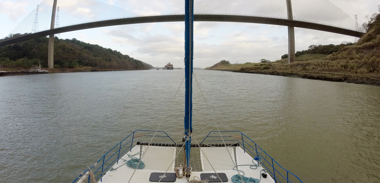 In a few hours, our cat will be sailing in the Pacific.