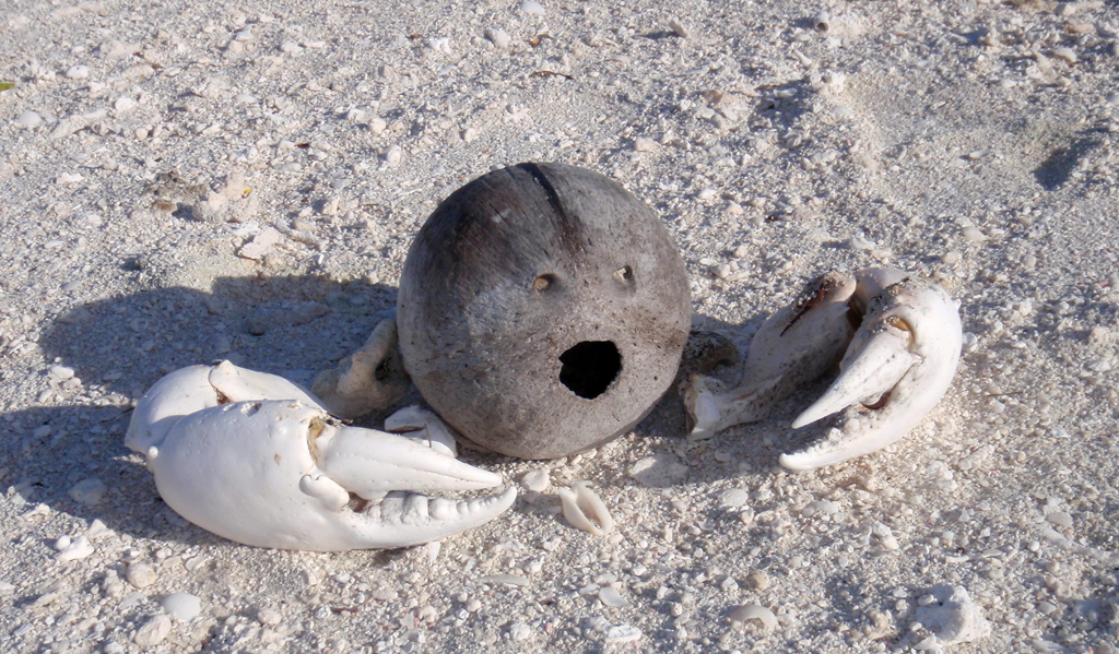 Chronicle around the world - Mopelia