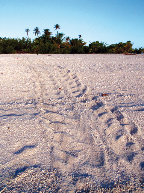 Chronicle around the world - Mopelia