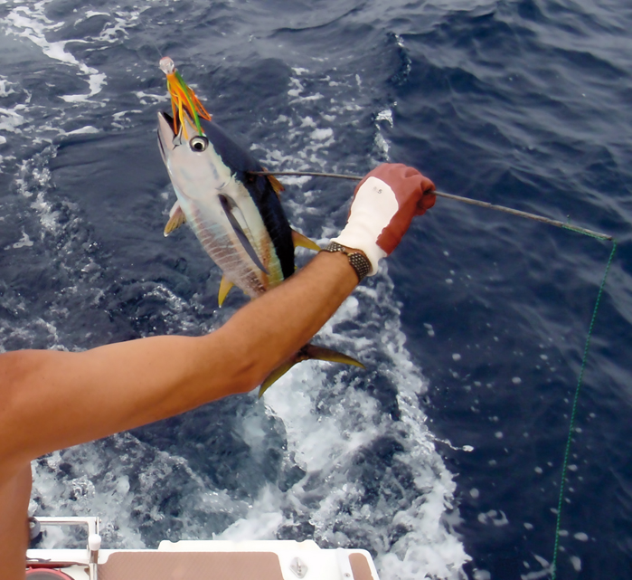 Chronicle New Caledonie