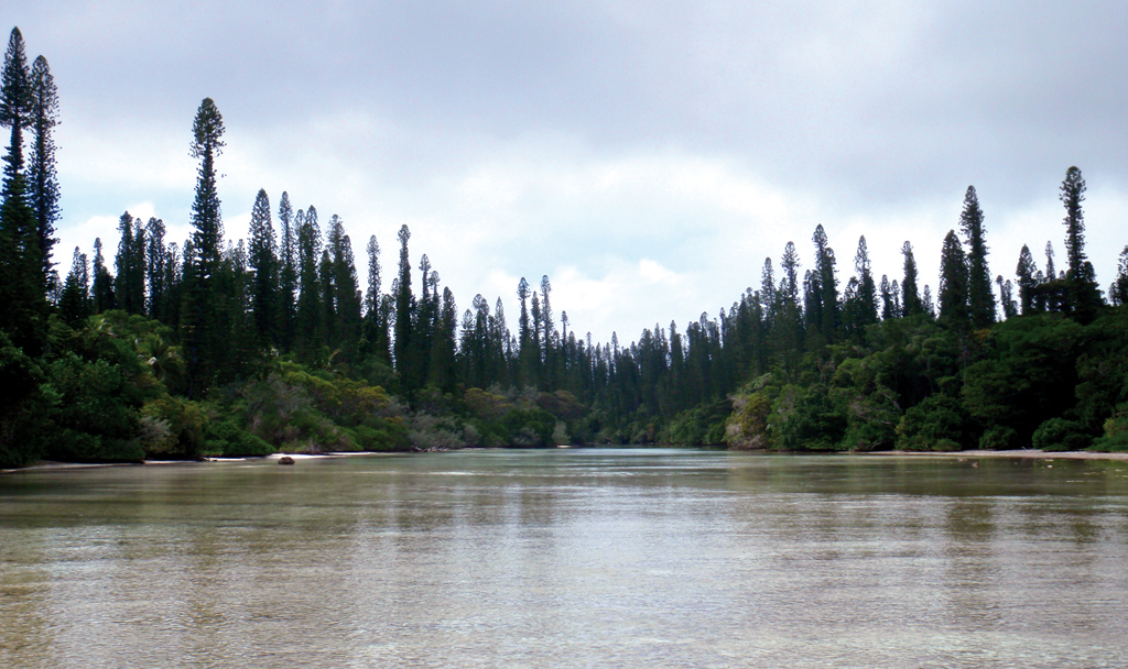 Chronicle New Caledonie