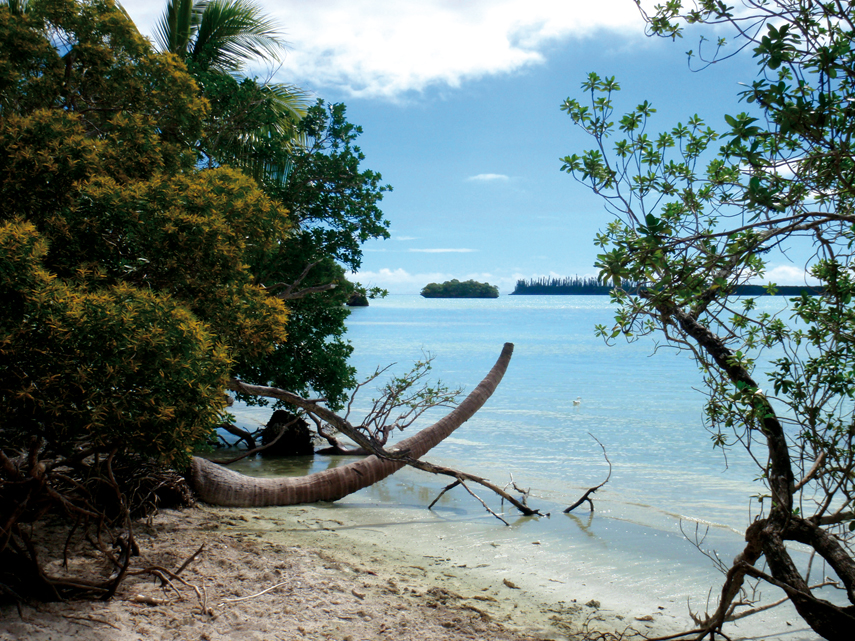 Chronicle New Caledonie
