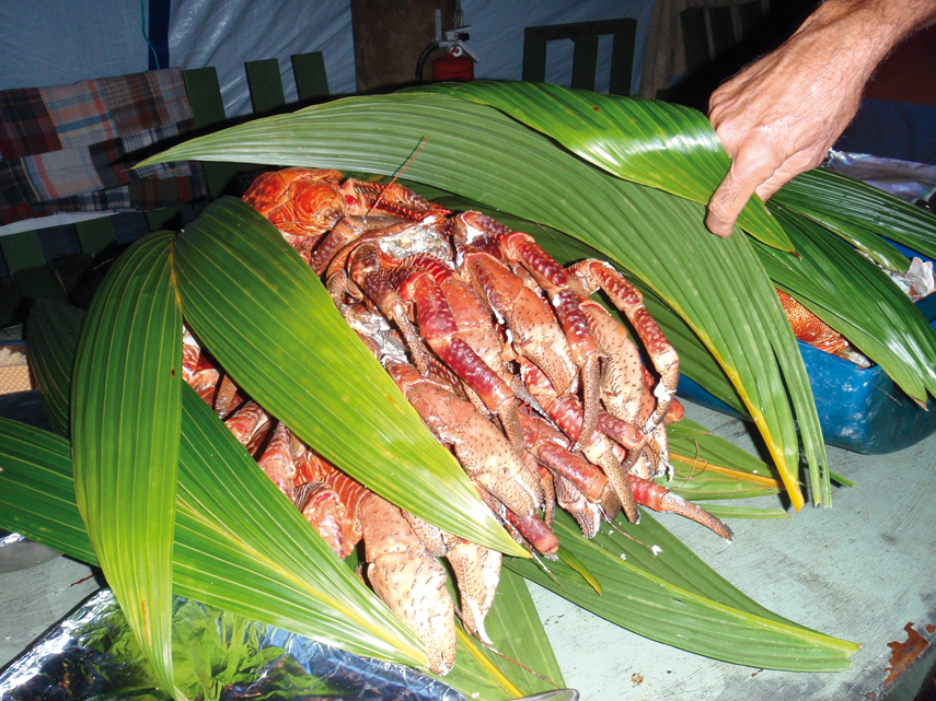 Chronicle around the world : Suvarov