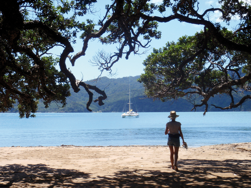 Chronicle around the world : New Zealand