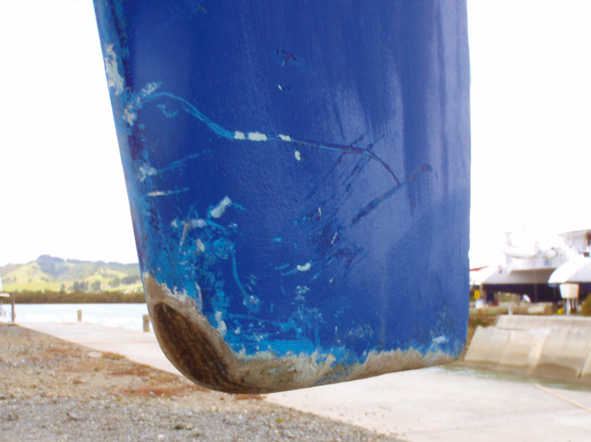 Chronicle western pacific : testing the coral…