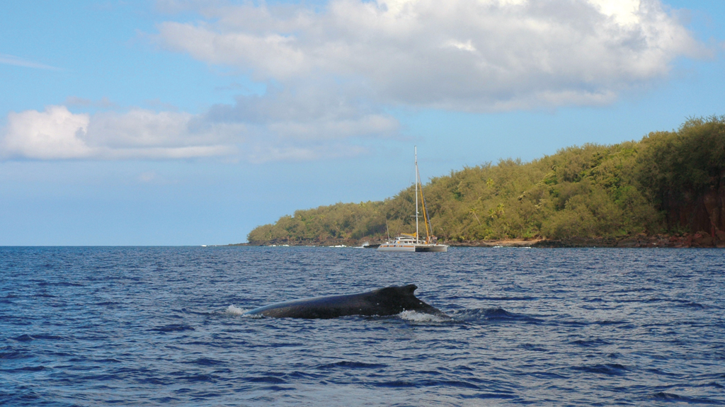 Chronique autour du monde Tofua