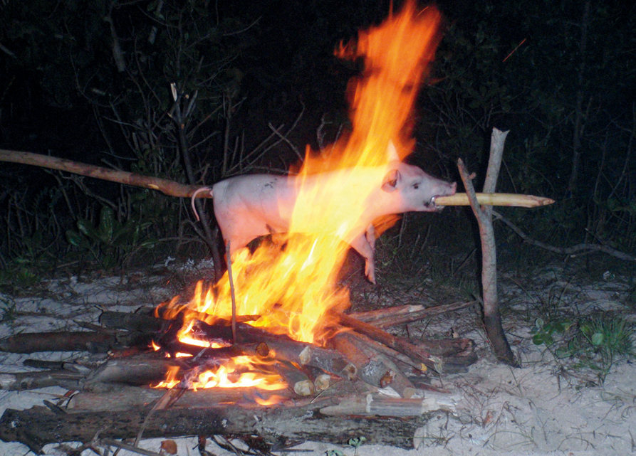 Chronique autour du monde : les îles Tonga