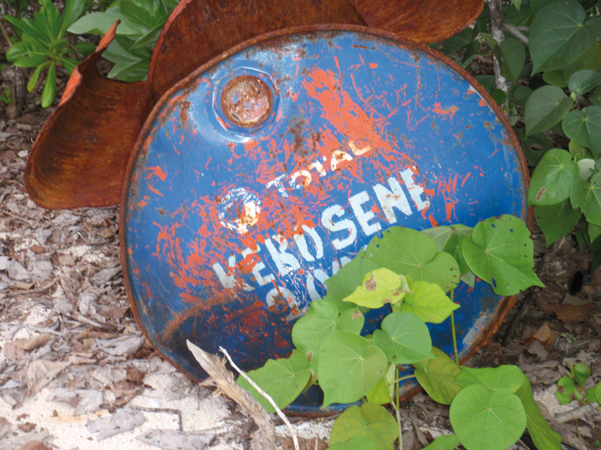 Chronique Pacifique Ouest- à l'épreuve du corail