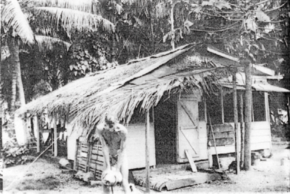 Chronique autour du monde : Suvarov