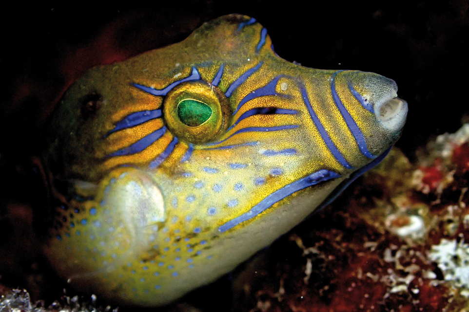 Croisiere Les San Blas