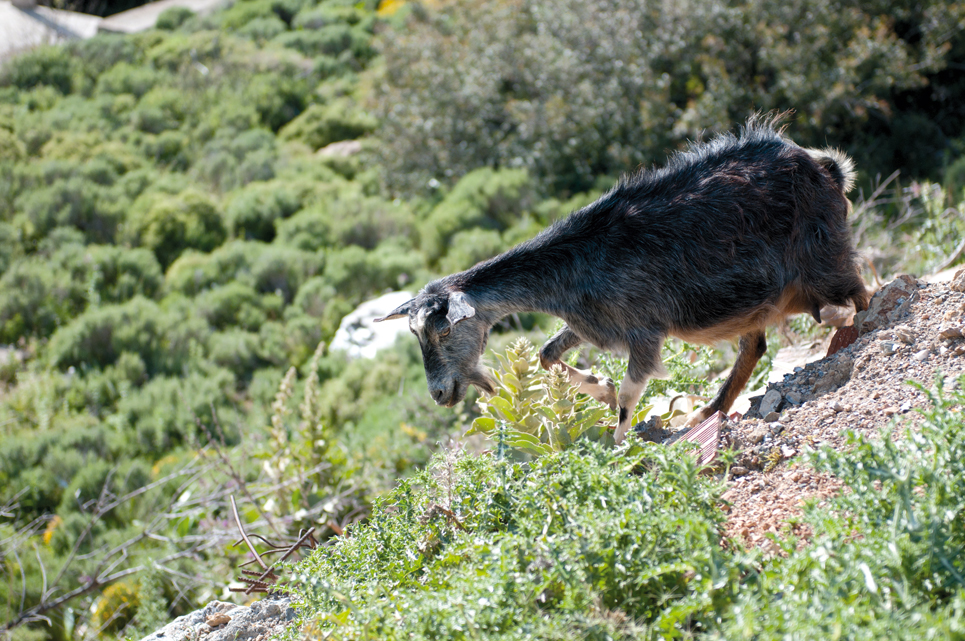 Croisière Grèce - Dodécanèse