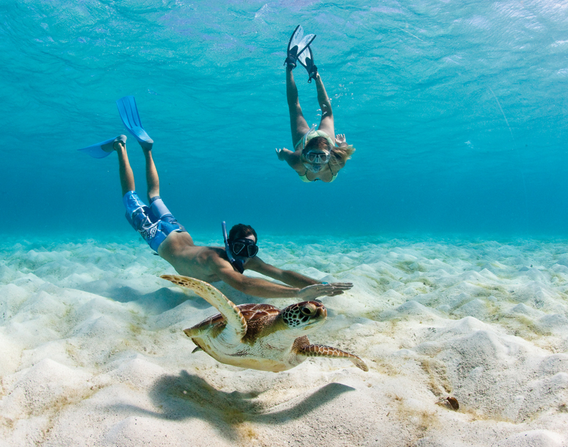 Destination Grenadines en multicoque