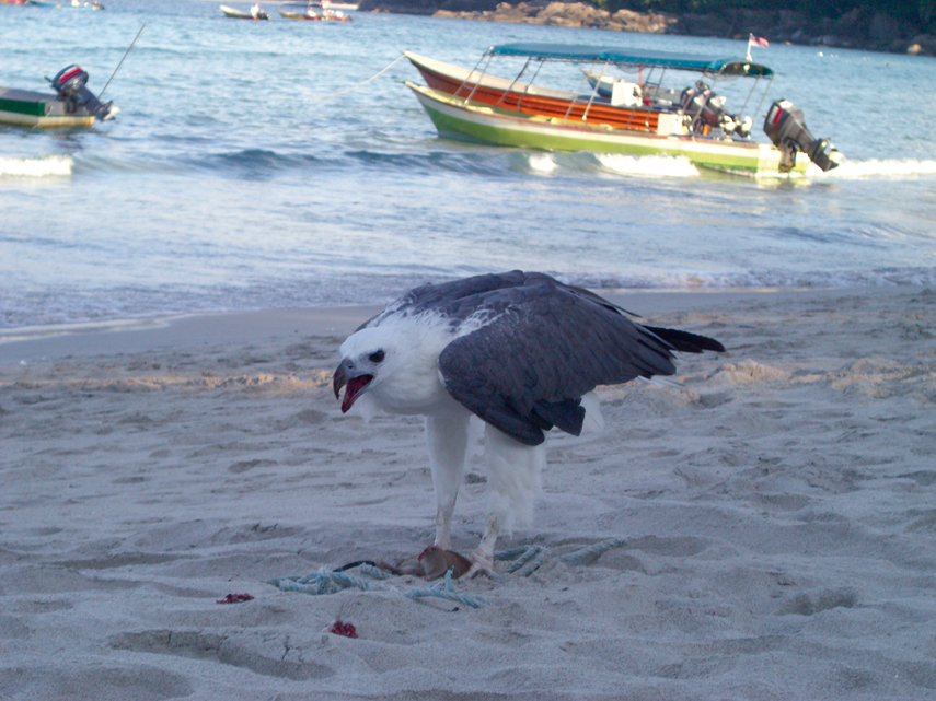 Destination Malaysia