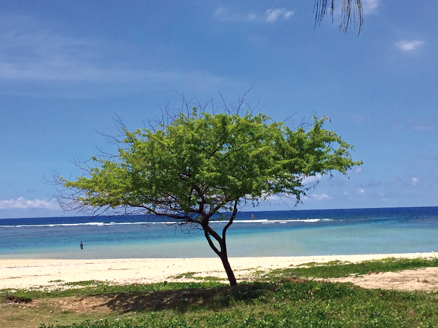 Esacale à la Réunion