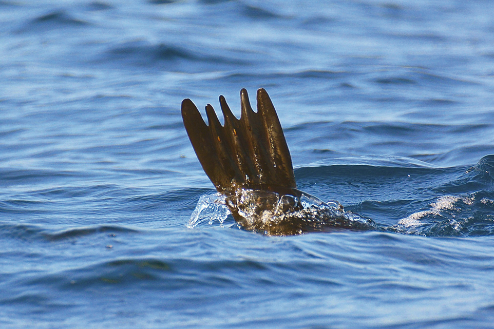 Jeune photographe en bateau