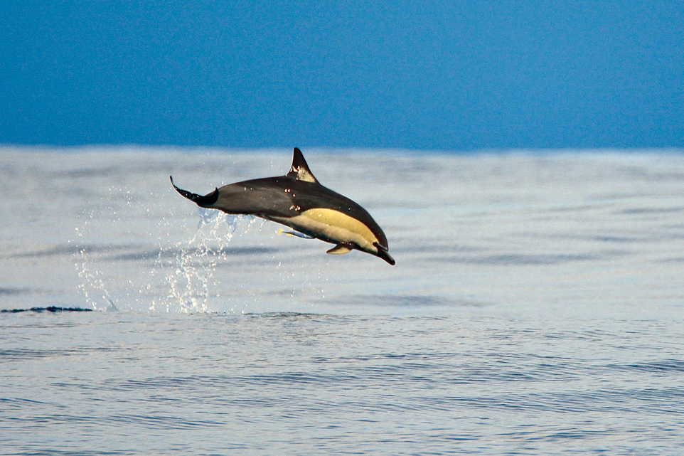 Jeune photographe en bateau