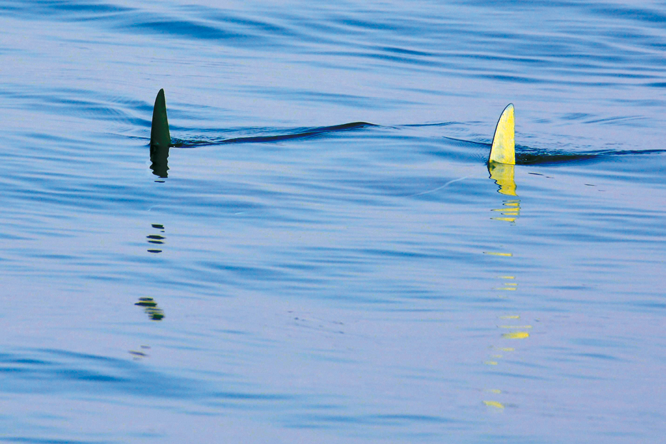 Jeune photographe en bateau