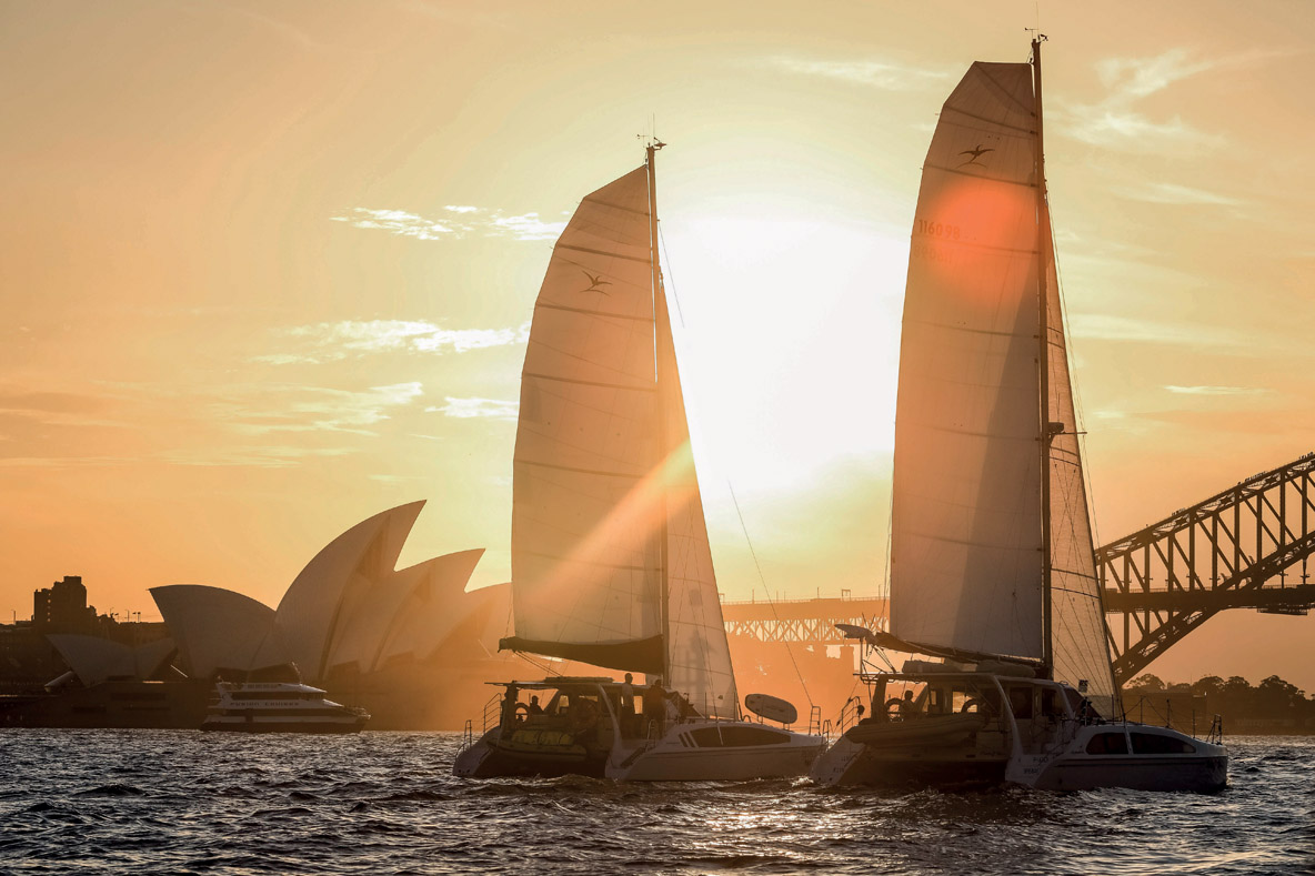 © Multihull Central/Dingo