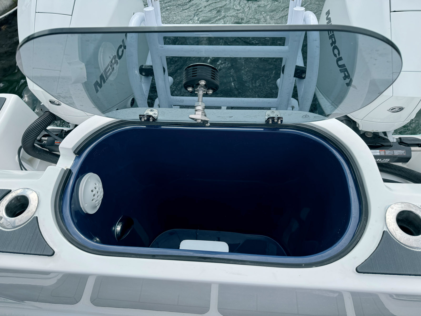 Le HammerCat 30 est équipé en standard d’un vivier de 190 litres.