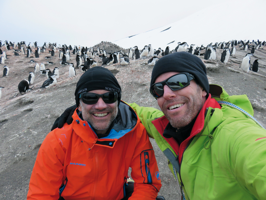 Libellule en Antarctique
