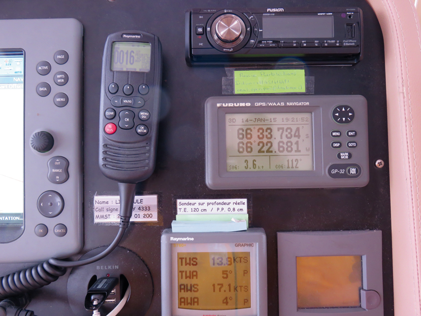 Libellule en Antarctique