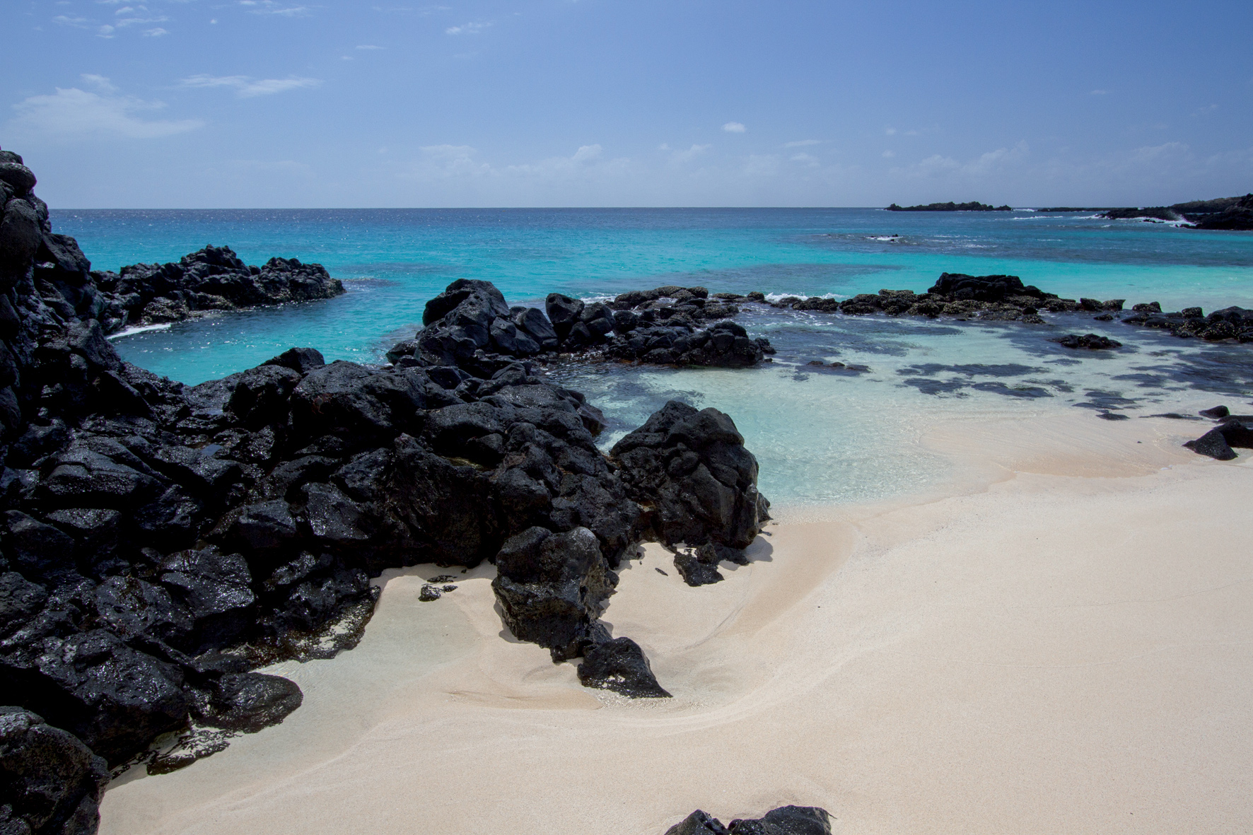 /sites/default/files/inline-images/Les plages de sable blanc et la lave noire des plages d'Ascension sont totalement vierges. Seules les tortues viennent y déposer leurs œufs !