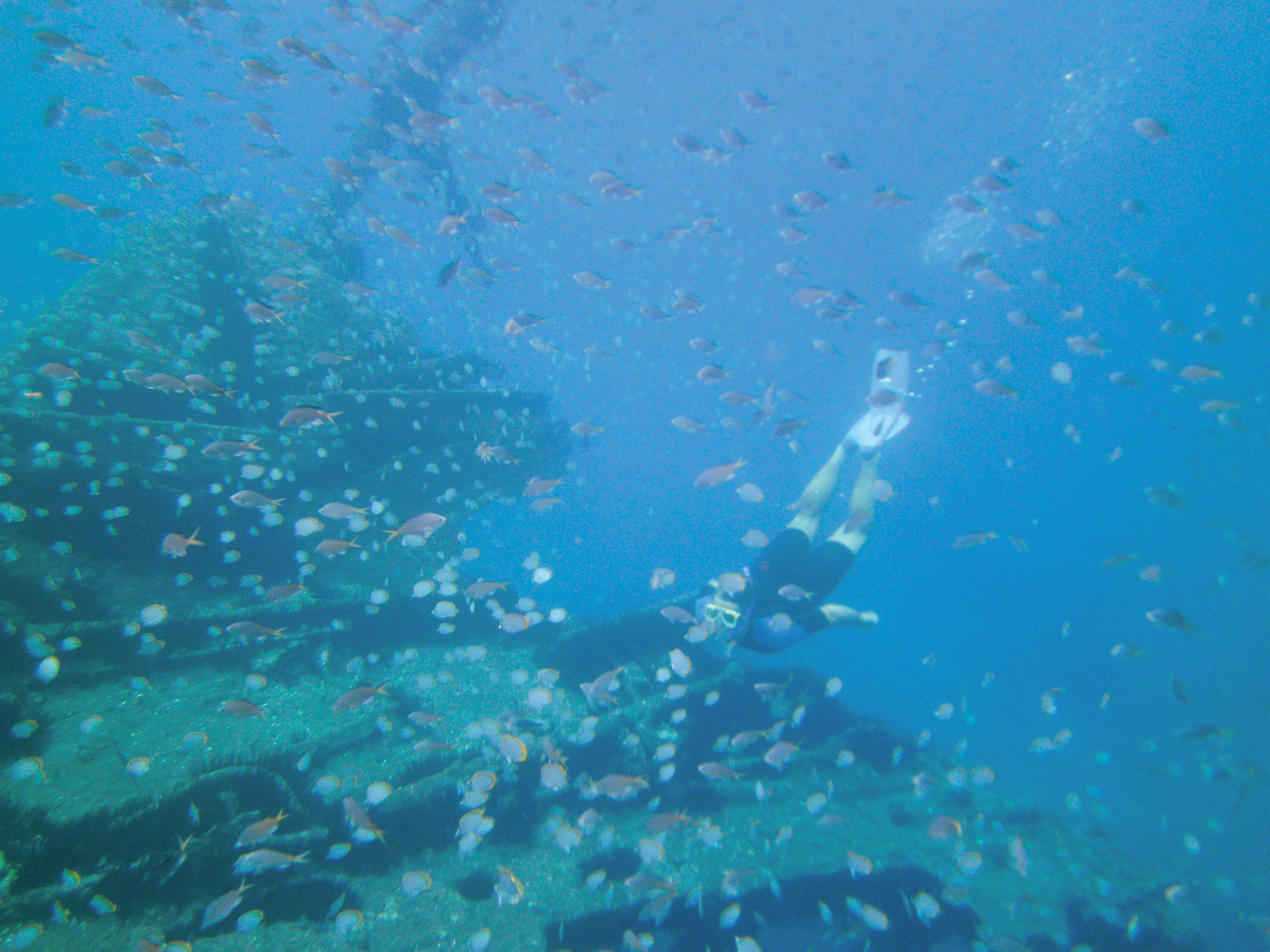 Le Papanui venait de passer Sainte-Hélène lorsque le feu prit à bord le 11 septembre 1911. Les 376 passagers et 108 membres d'équipages purent débarquer à Jamestown avant que le bateau ne sombre… par 13 mètres de fond à quelques encablures seulement du port.
