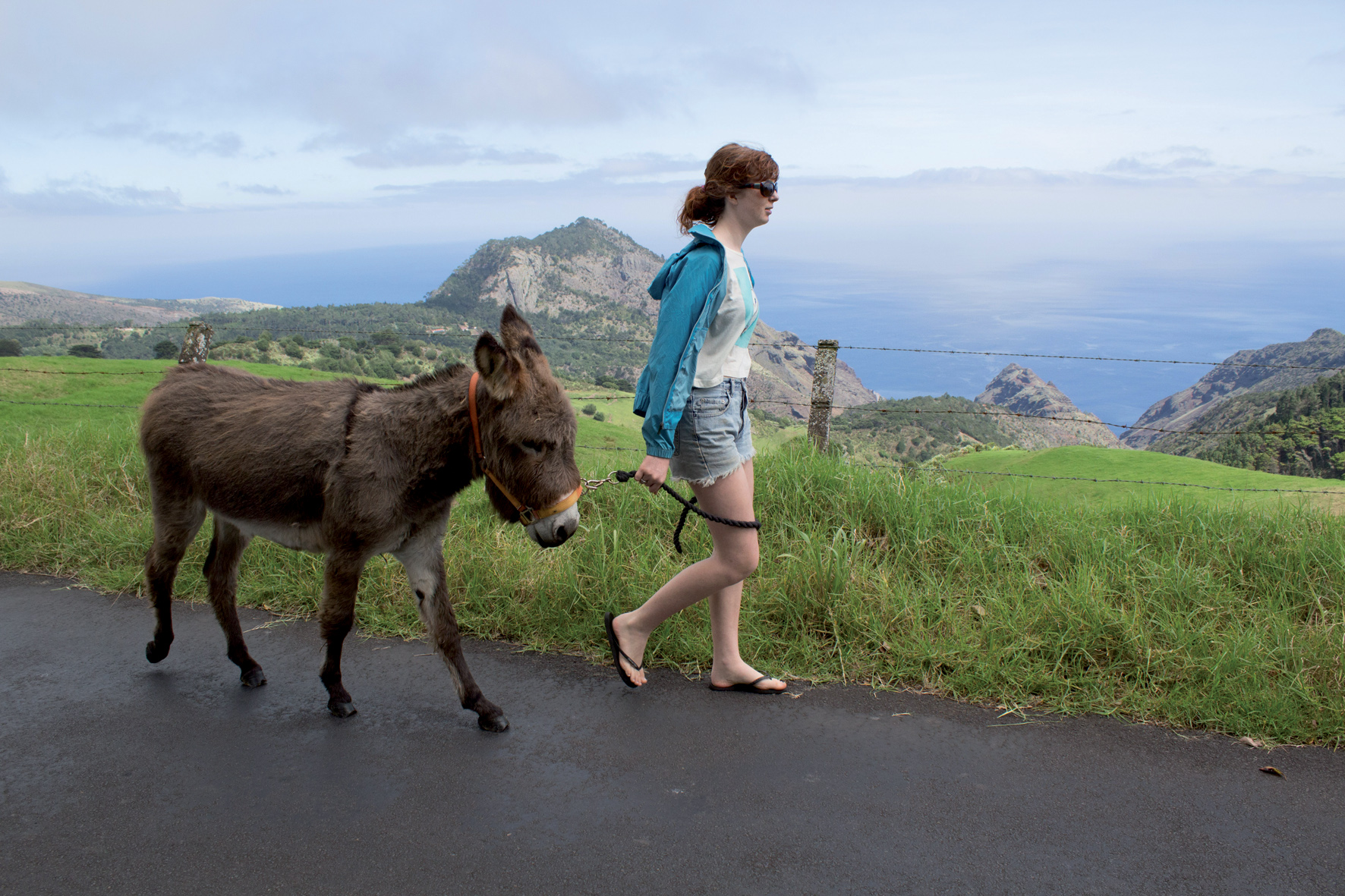 Sainte-Hélène propose de magnifiques paysages et est connue pour ses ânes. Deux bonnes raisons pour partir en randonnée.